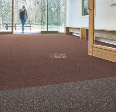 Forbo Coral Classic 4726 Auburn фото 2 | FLOORDEALER